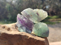 Natural Watermelon Fluorite Specimens x 3.8 Kg Lot From Namibia - Toprock Gemstones and Minerals 