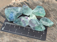 Natural Watermelon Fluorite Specimens x 3.8 Kg Lot From Namibia - Toprock Gemstones and Minerals 