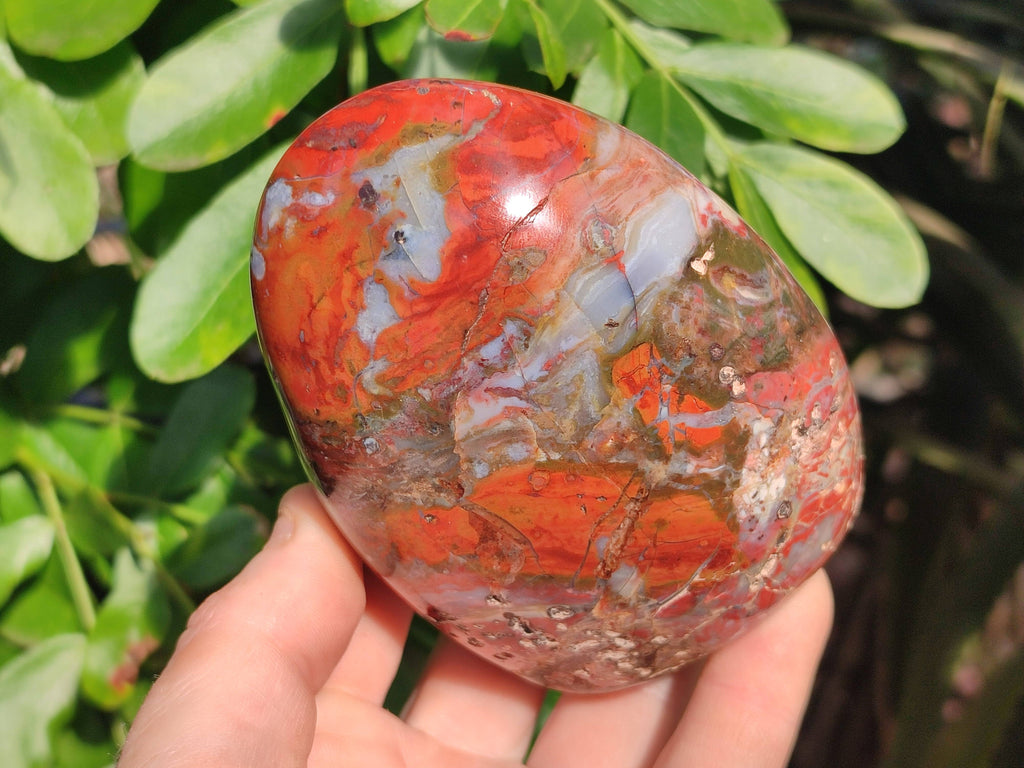 Polished Red Jasper Standing Free Forms x 4 From Madagascar - Toprock Gemstones and Minerals 