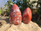 Polished Red Jasper Standing Free Forms x 4 From Madagascar - Toprock Gemstones and Minerals 