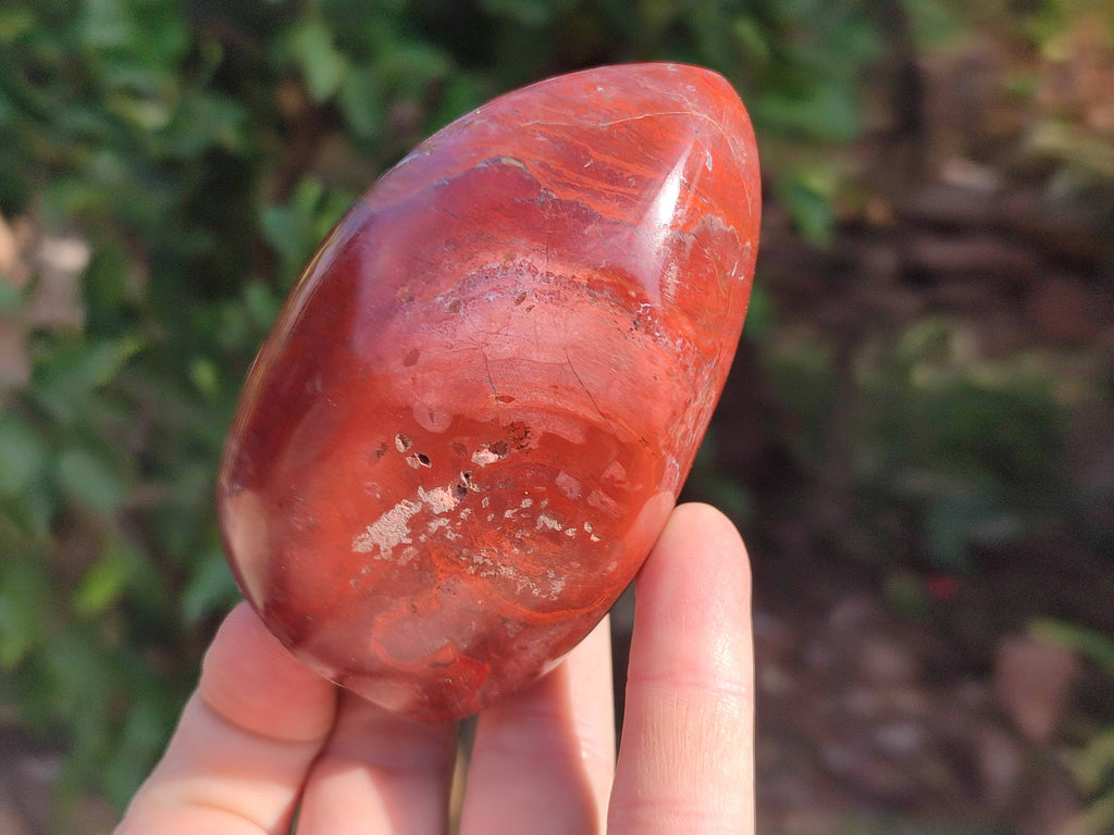 Polished Red Jasper Standing Free Forms x 4 From Madagascar - Toprock Gemstones and Minerals 