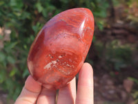 Polished Red Jasper Standing Free Forms x 4 From Madagascar - Toprock Gemstones and Minerals 