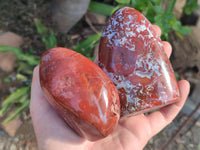 Polished Red Jasper Standing Free Forms x 4 From Madagascar - Toprock Gemstones and Minerals 