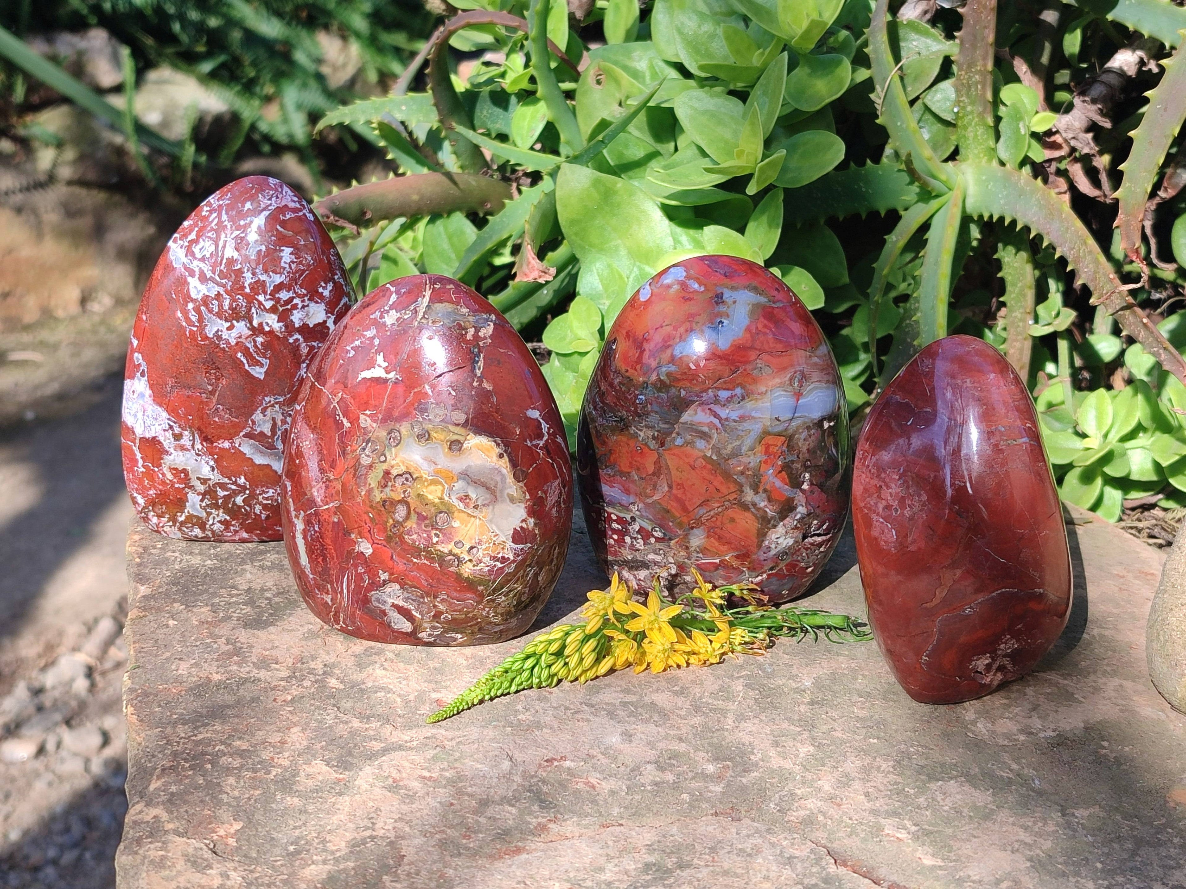 Polished Red Jasper Standing Free Forms x 4 From Madagascar - Toprock Gemstones and Minerals 