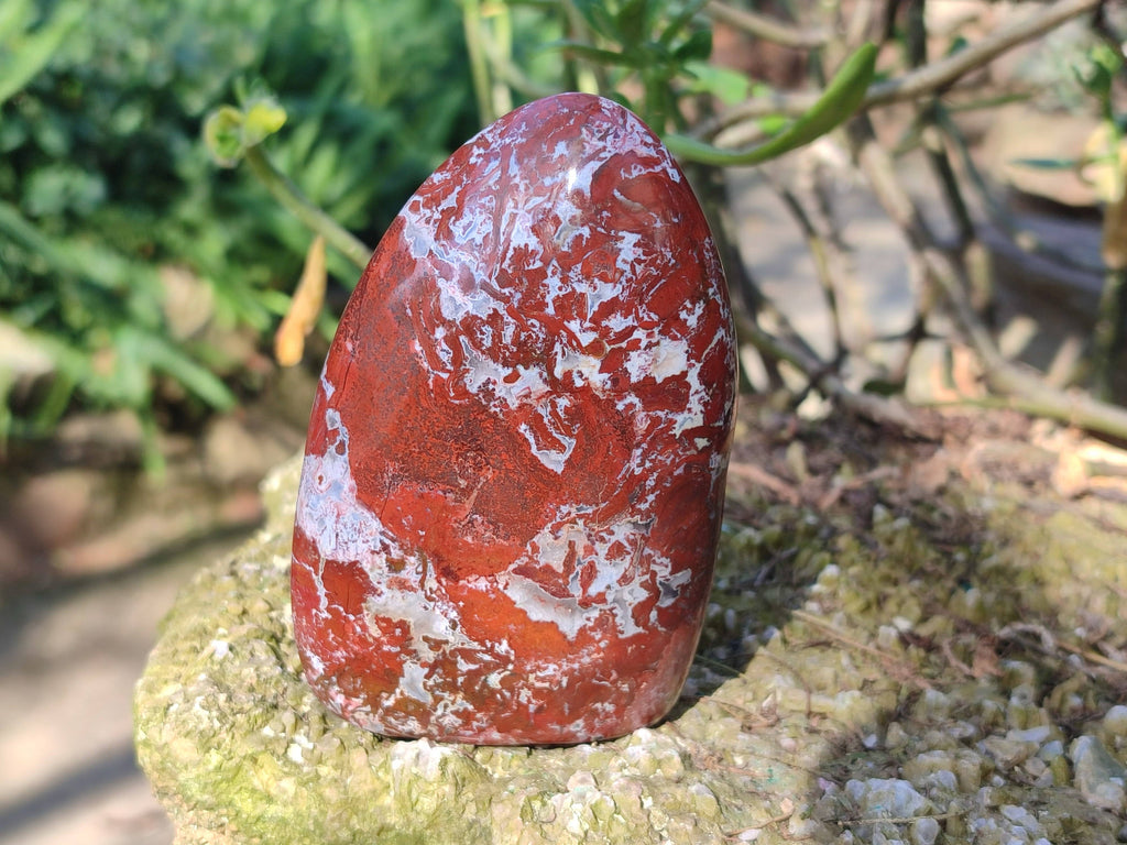 Polished Red Jasper Standing Free Forms x 4 From Madagascar - Toprock Gemstones and Minerals 