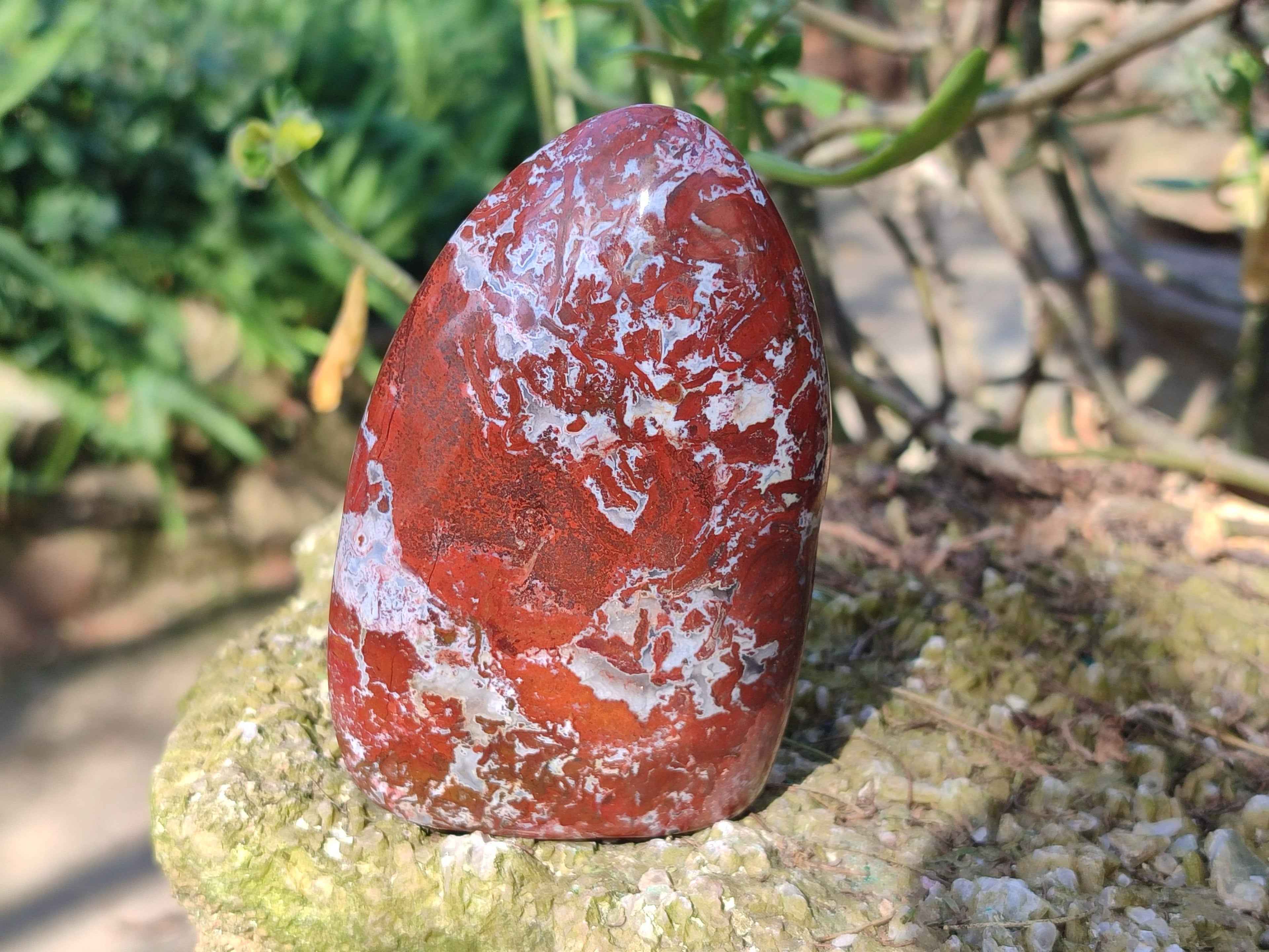 Polished Red Jasper Standing Free Forms x 4 From Madagascar - Toprock Gemstones and Minerals 