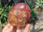 Polished Red Jasper Standing Free Forms x 4 From Madagascar - Toprock Gemstones and Minerals 