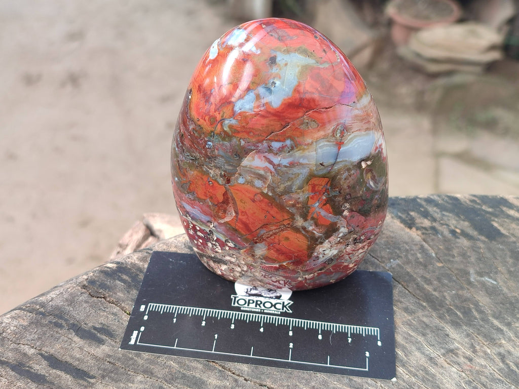 Polished Red Jasper Standing Free Forms x 4 From Madagascar - Toprock Gemstones and Minerals 