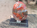Polished Red Jasper Standing Free Forms x 4 From Madagascar - Toprock Gemstones and Minerals 