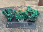 Natural Silky Malachite Specimens x 20 From Kasompe, Congo - Toprock Gemstones and Minerals 