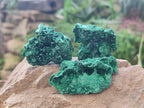 Natural Silky Malachite Specimens x 20 From Kasompe, Congo - Toprock Gemstones and Minerals 