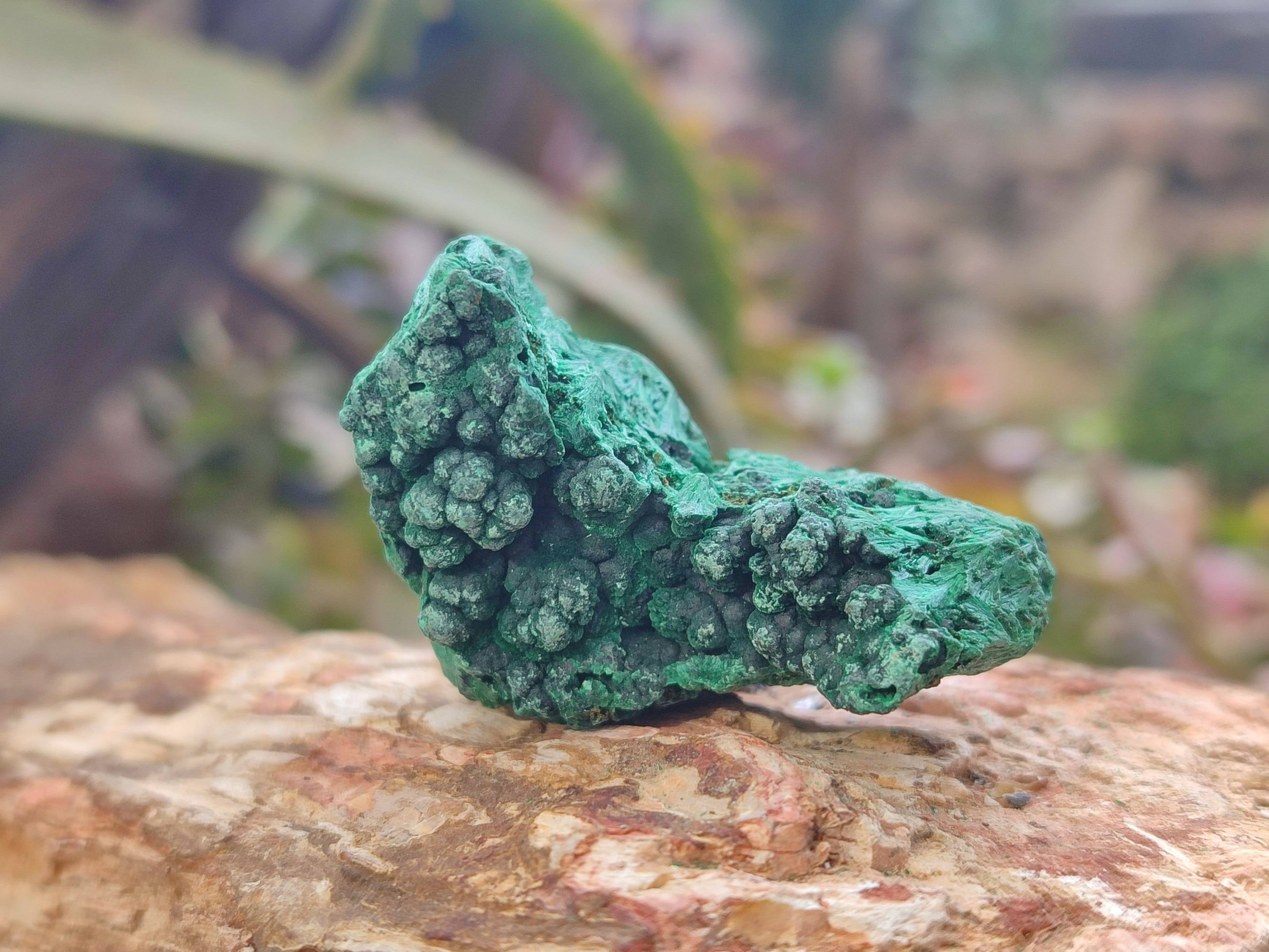 Natural Silky Malachite Specimens x 20 From Kasompe, Congo - Toprock Gemstones and Minerals 
