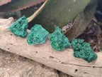 Natural Silky Malachite Specimens x 20 From Kasompe, Congo - Toprock Gemstones and Minerals 