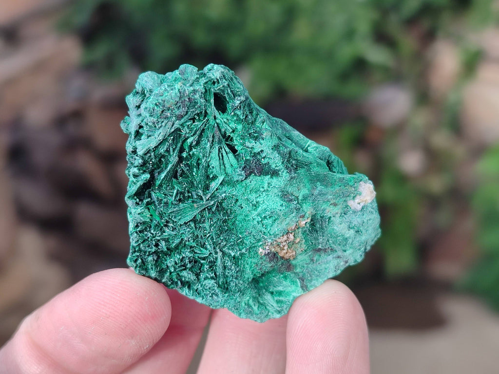 Natural Silky Malachite Specimens x 20 From Kasompe, Congo - Toprock Gemstones and Minerals 