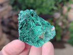 Natural Silky Malachite Specimens x 20 From Kasompe, Congo - Toprock Gemstones and Minerals 