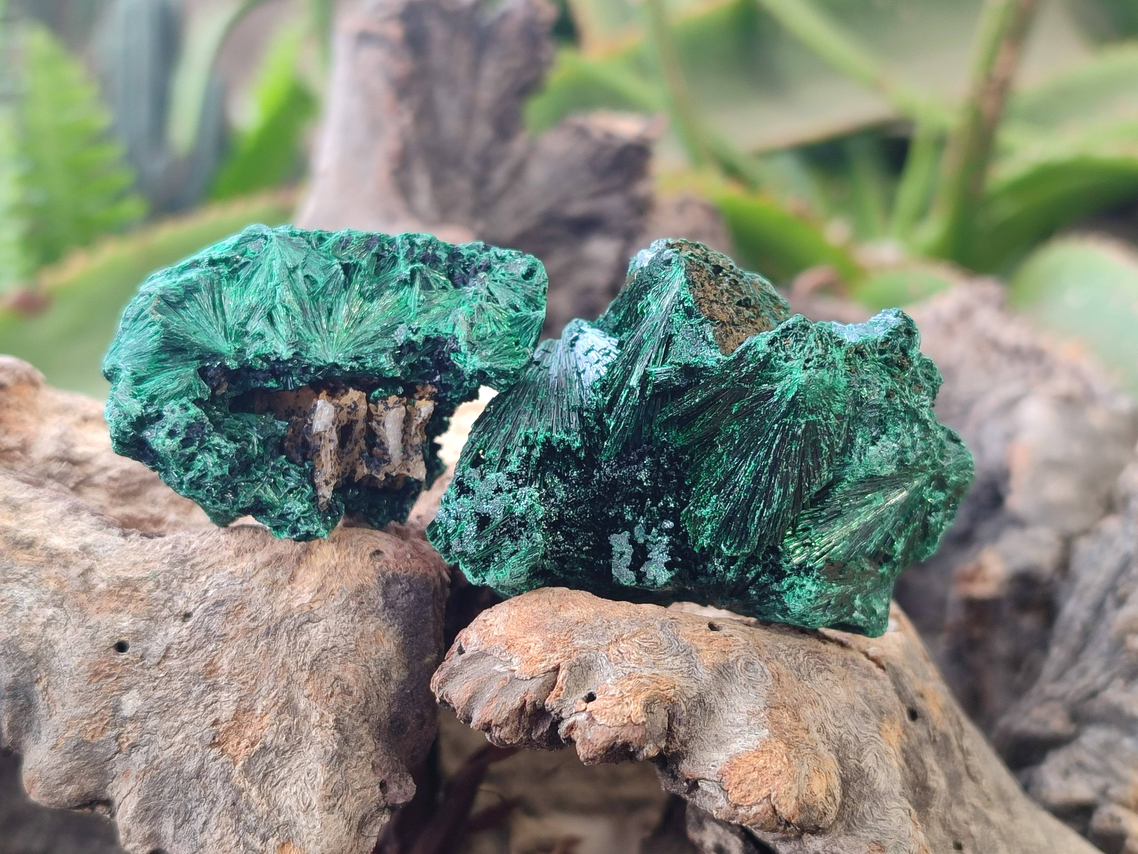 Natural Silky Malachite Specimens x 20 From Kasompe, Congo - Toprock Gemstones and Minerals 