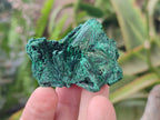 Natural Silky Malachite Specimens x 20 From Kasompe, Congo - Toprock Gemstones and Minerals 