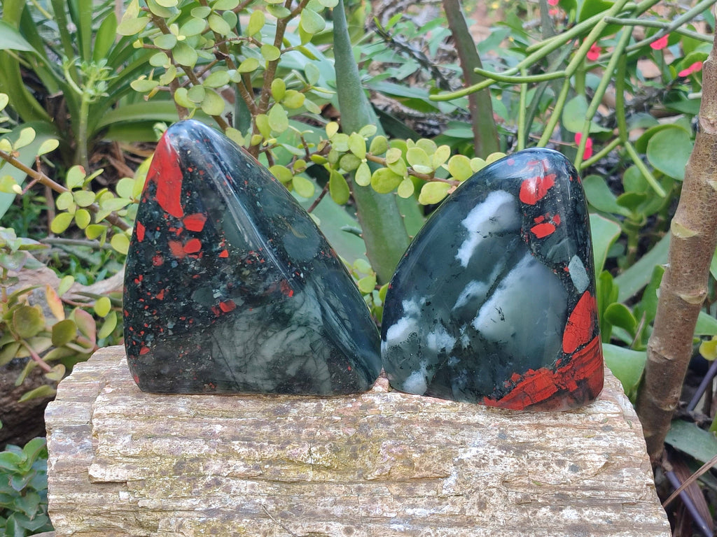 Polished Bloodstone Standing Free Forms x 2 From Swaziland - Toprock Gemstones and Minerals 