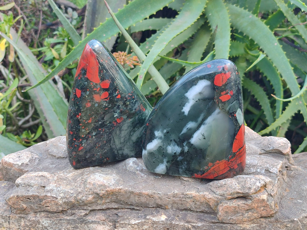 Polished Bloodstone Standing Free Forms x 2 From Swaziland - Toprock Gemstones and Minerals 