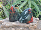 Polished Bloodstone Standing Free Forms x 2 From Swaziland - Toprock Gemstones and Minerals 