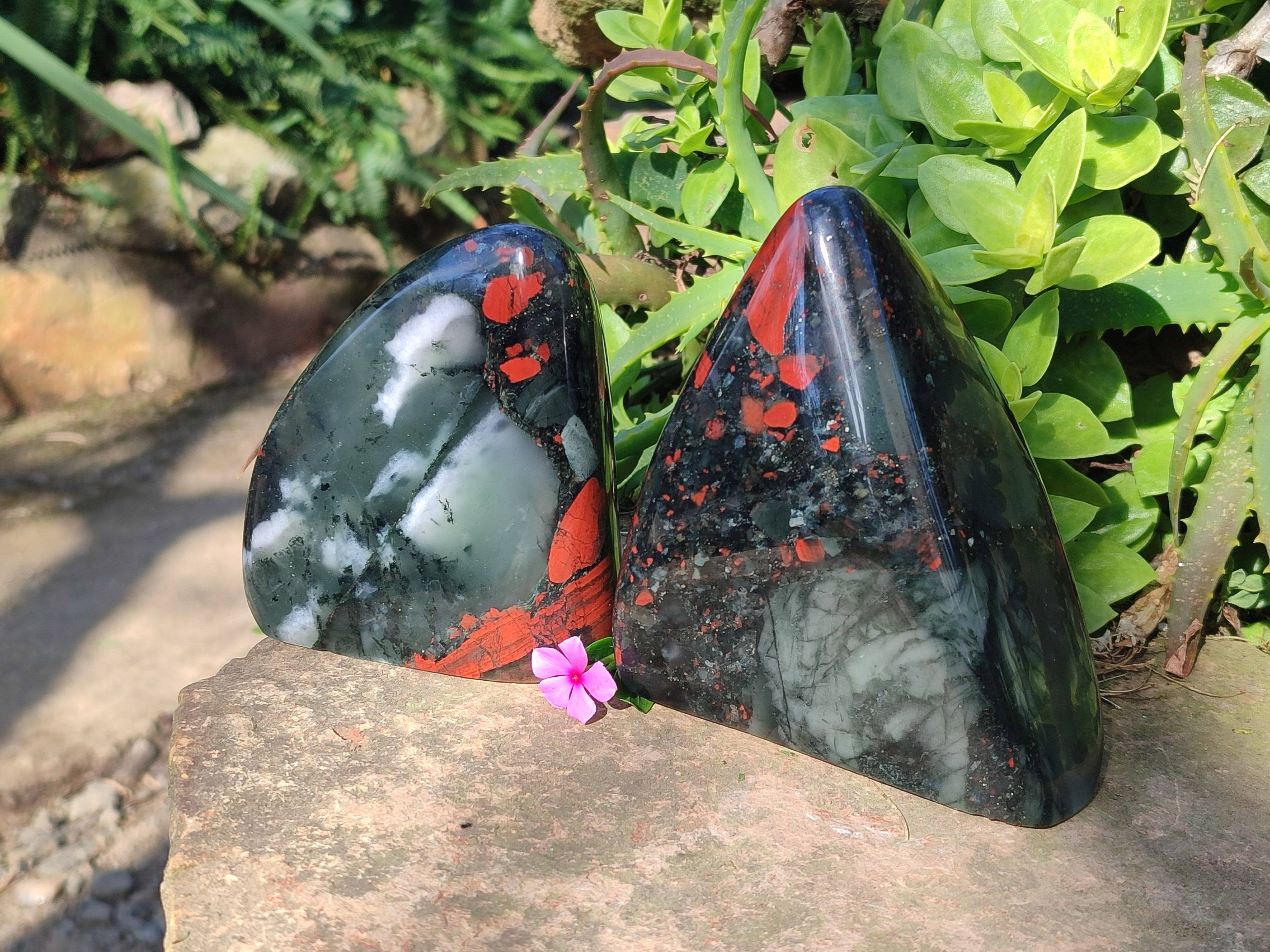 Polished Bloodstone Standing Free Forms x 2 From Swaziland - Toprock Gemstones and Minerals 