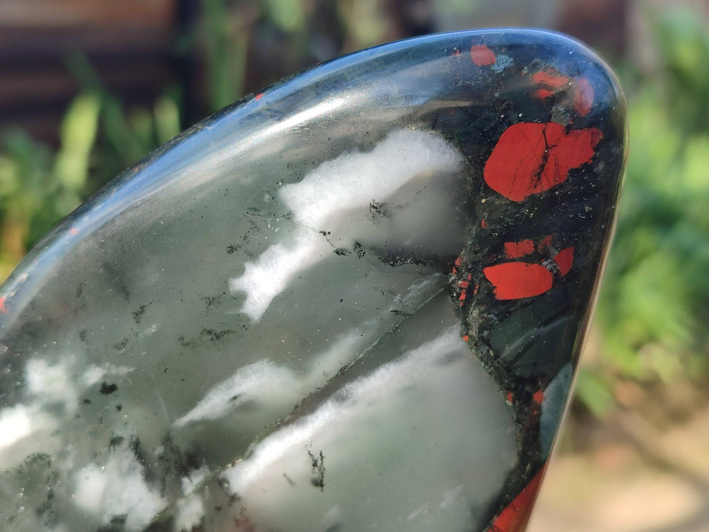 Polished Bloodstone Standing Free Forms x 2 From Swaziland - Toprock Gemstones and Minerals 