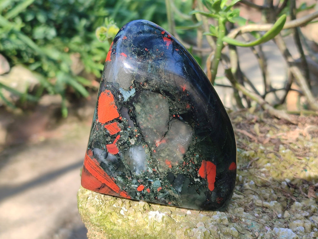 Polished Bloodstone Standing Free Forms x 2 From Swaziland - Toprock Gemstones and Minerals 