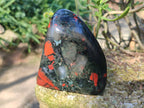 Polished Bloodstone Standing Free Forms x 2 From Swaziland - Toprock Gemstones and Minerals 