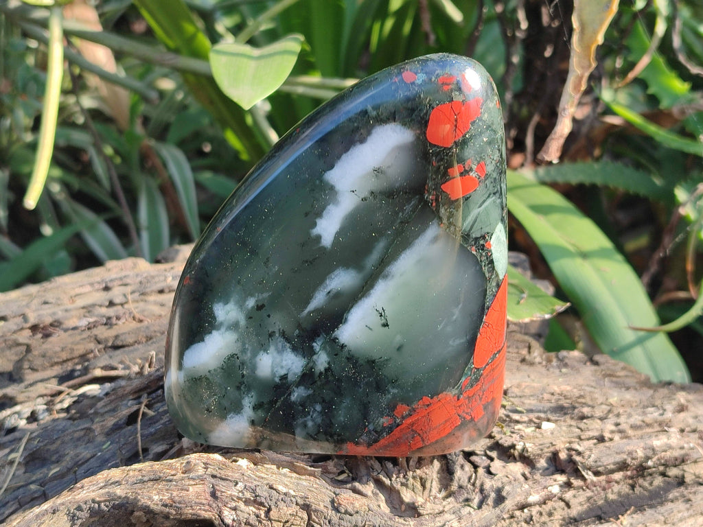 Polished Bloodstone Standing Free Forms x 2 From Swaziland - Toprock Gemstones and Minerals 