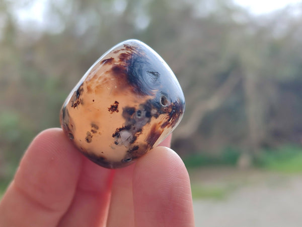 Polished Mini Agate Palm Stones x 35 From Madagascar - Toprock Gemstones and Minerals 
