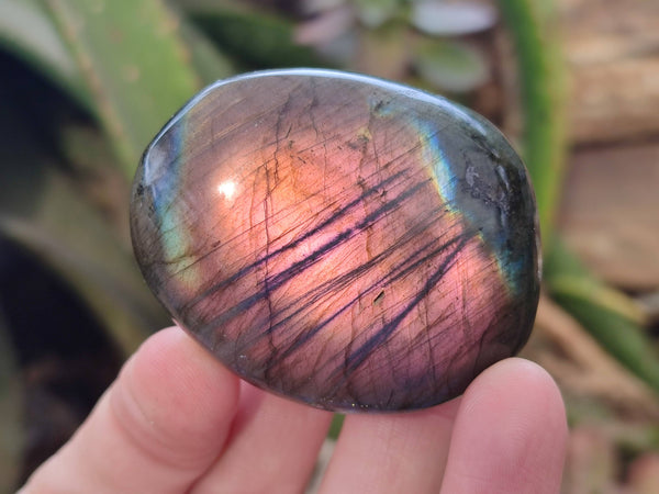 Polished Labradorite Palm Stones x 12 From Tulear, Madagascar - Toprock Gemstones and Minerals 