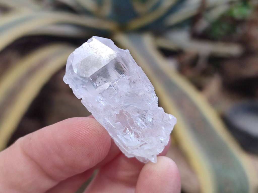 Natural Clear Quartz Crystals x 70 From Zambia - Toprock Gemstones and Minerals 