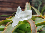 Natural Clear Quartz Crystals x 70 From Zambia - Toprock Gemstones and Minerals 