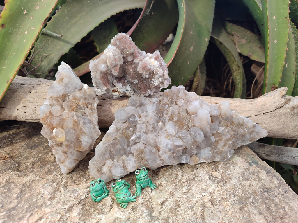Natural Fairy Spirit Quartz Clusters x 3 From Boekenhouthoek, South Africa - Toprock Gemstones and Minerals 