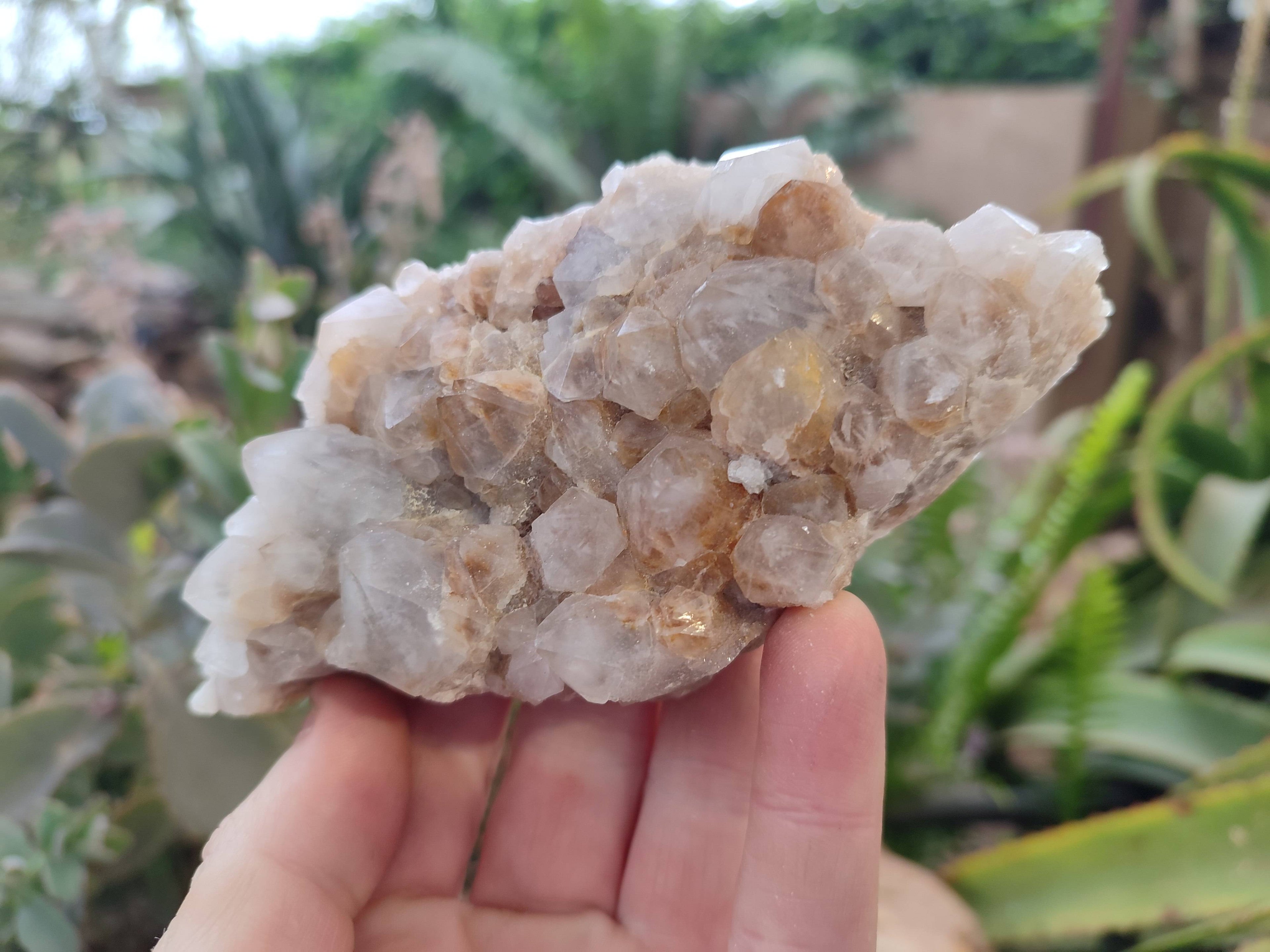 Natural Fairy Spirit Quartz Clusters x 3 From Boekenhouthoek, South Africa - Toprock Gemstones and Minerals 