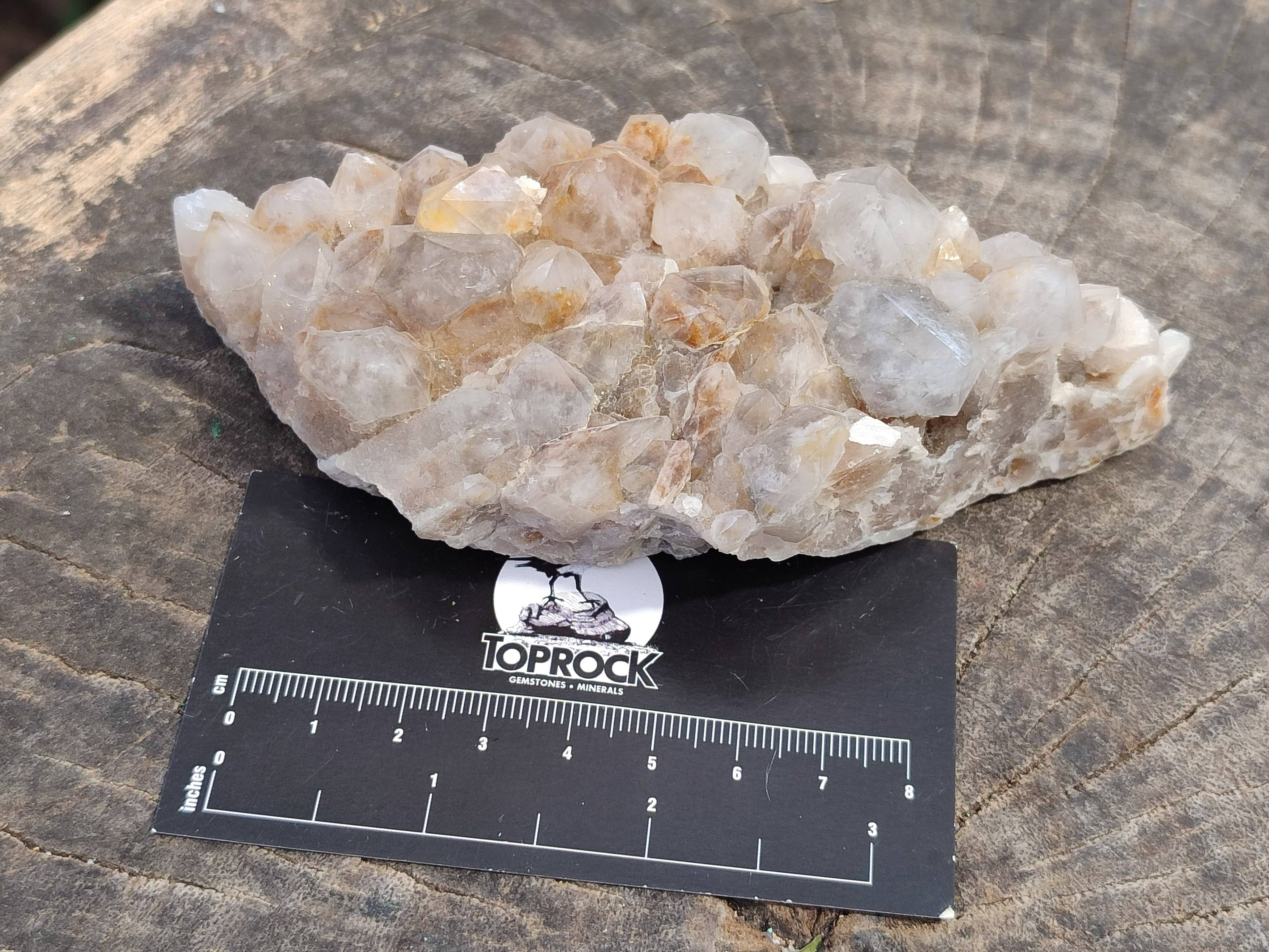Natural Fairy Spirit Quartz Clusters x 3 From Boekenhouthoek, South Africa - Toprock Gemstones and Minerals 