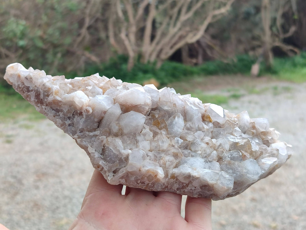 Natural Fairy Spirit Quartz Clusters x 3 From Boekenhouthoek, South Africa - Toprock Gemstones and Minerals 