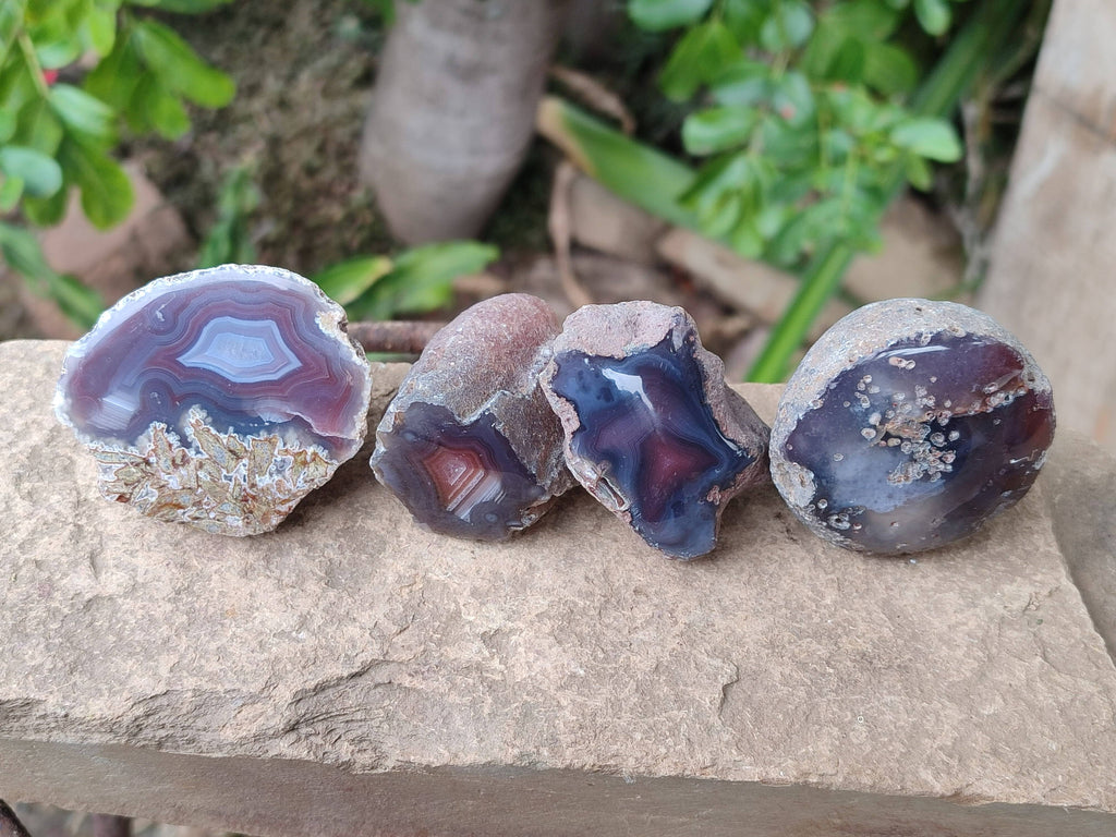 Polished On One Side Red Sashe River Agate Nodules x 24 From Zimbabwe - Toprock Gemstones and Minerals 