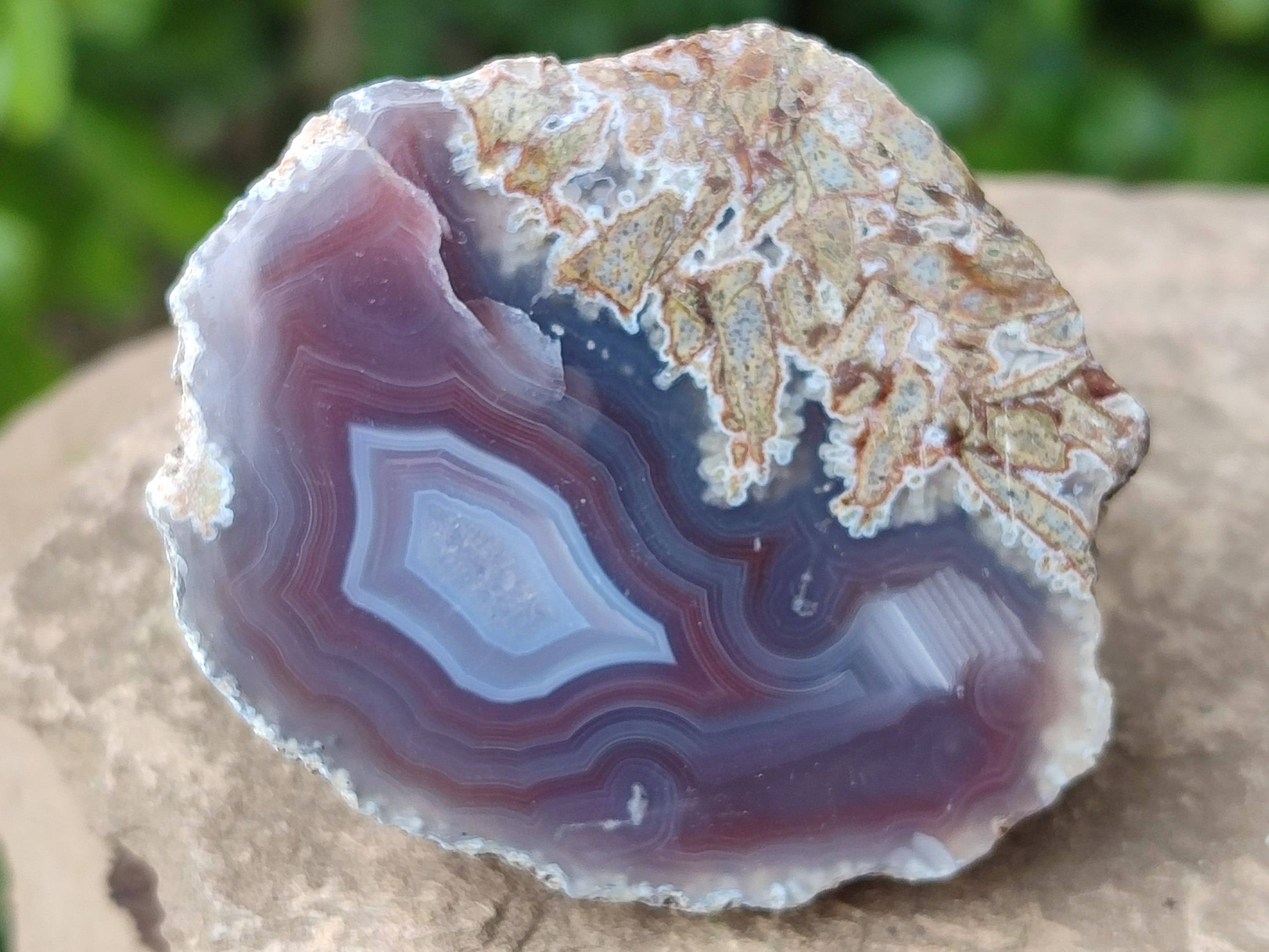 Polished On One Side Red Sashe River Agate Nodules x 24 From Zimbabwe - Toprock Gemstones and Minerals 