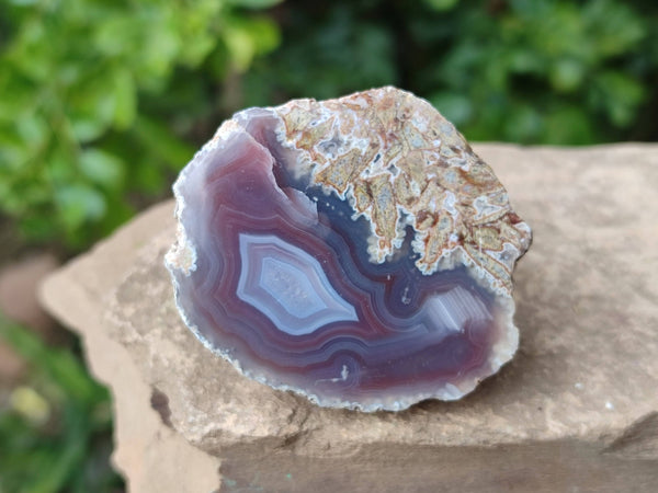 Polished On One Side Red Sashe River Agate Nodules x 24 From Zimbabwe - Toprock Gemstones and Minerals 