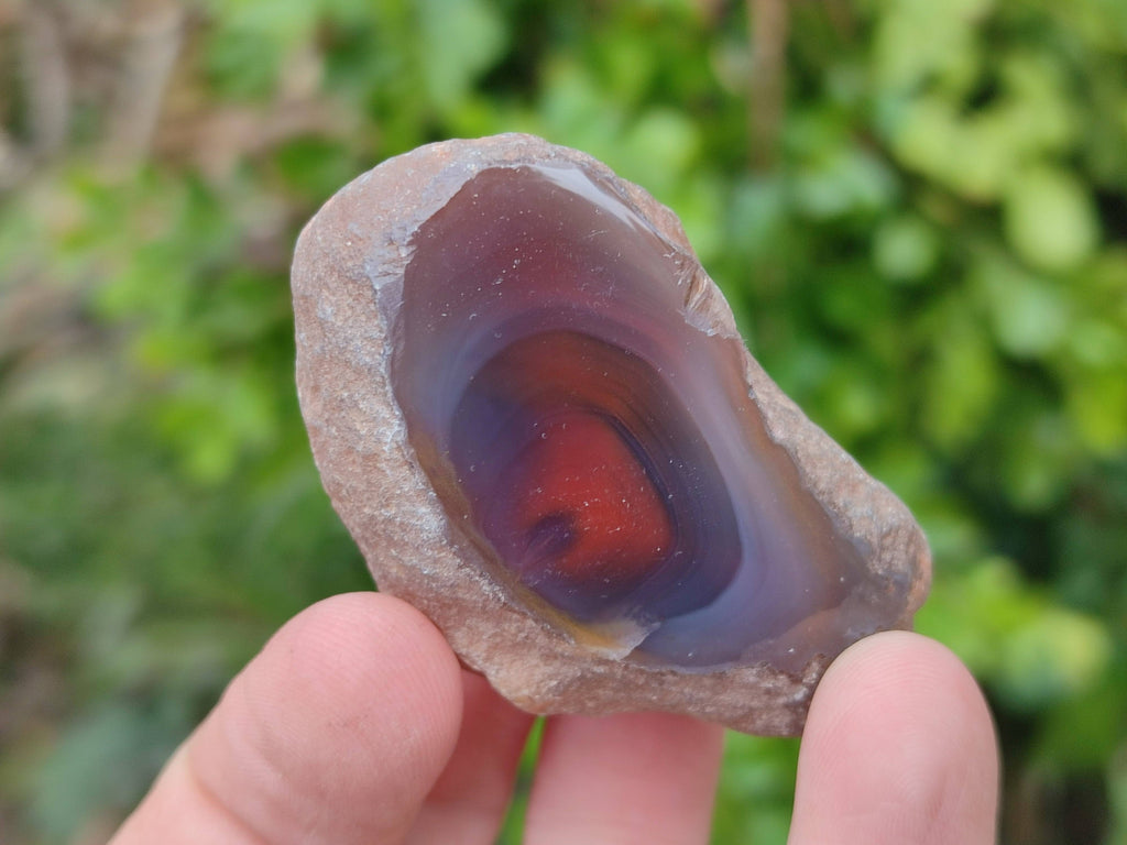 Polished On One Side Red Sashe River Agate Nodules x 24 From Zimbabwe - Toprock Gemstones and Minerals 