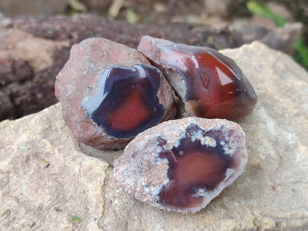 Polished On One Side Red Sashe River Agate Nodules x 24 From Zimbabwe - Toprock Gemstones and Minerals 