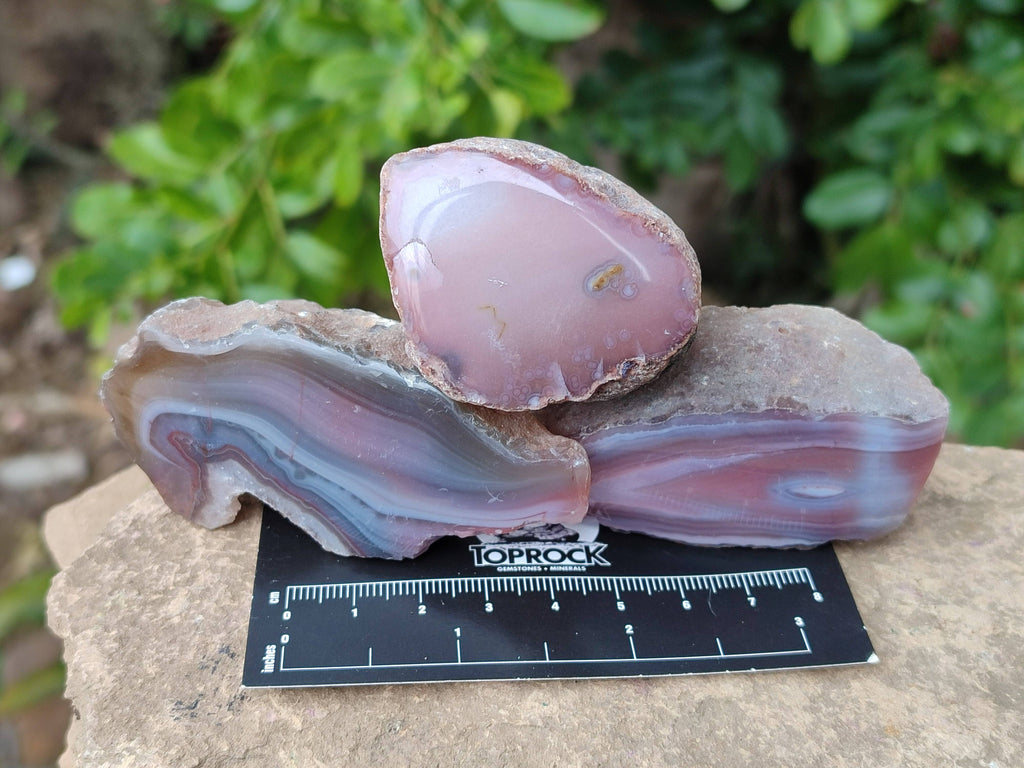 Polished On One Side Red Sashe River Agate Nodules x 24 From Zimbabwe - Toprock Gemstones and Minerals 
