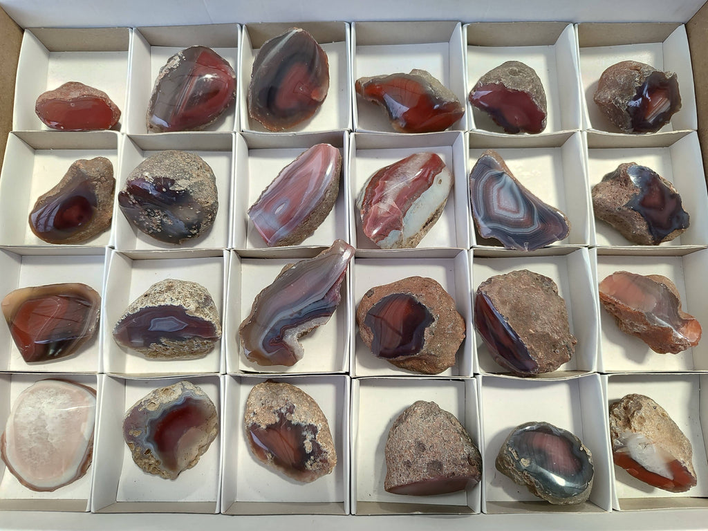 Polished On One Side Red Sashe River Agate Nodules x 24 From Zimbabwe - Toprock Gemstones and Minerals 
