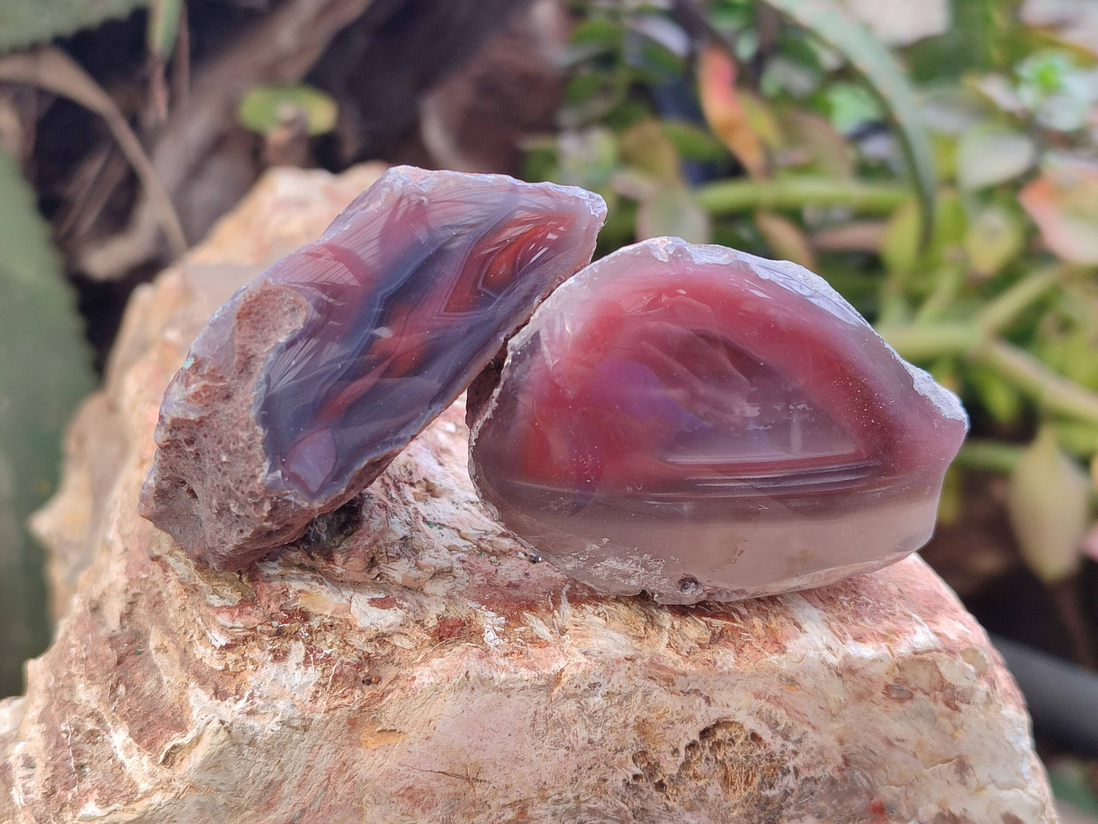 Polished On One Side Red Sashe River Agate Nodules x 24 From Zimbabwe - Toprock Gemstones and Minerals 