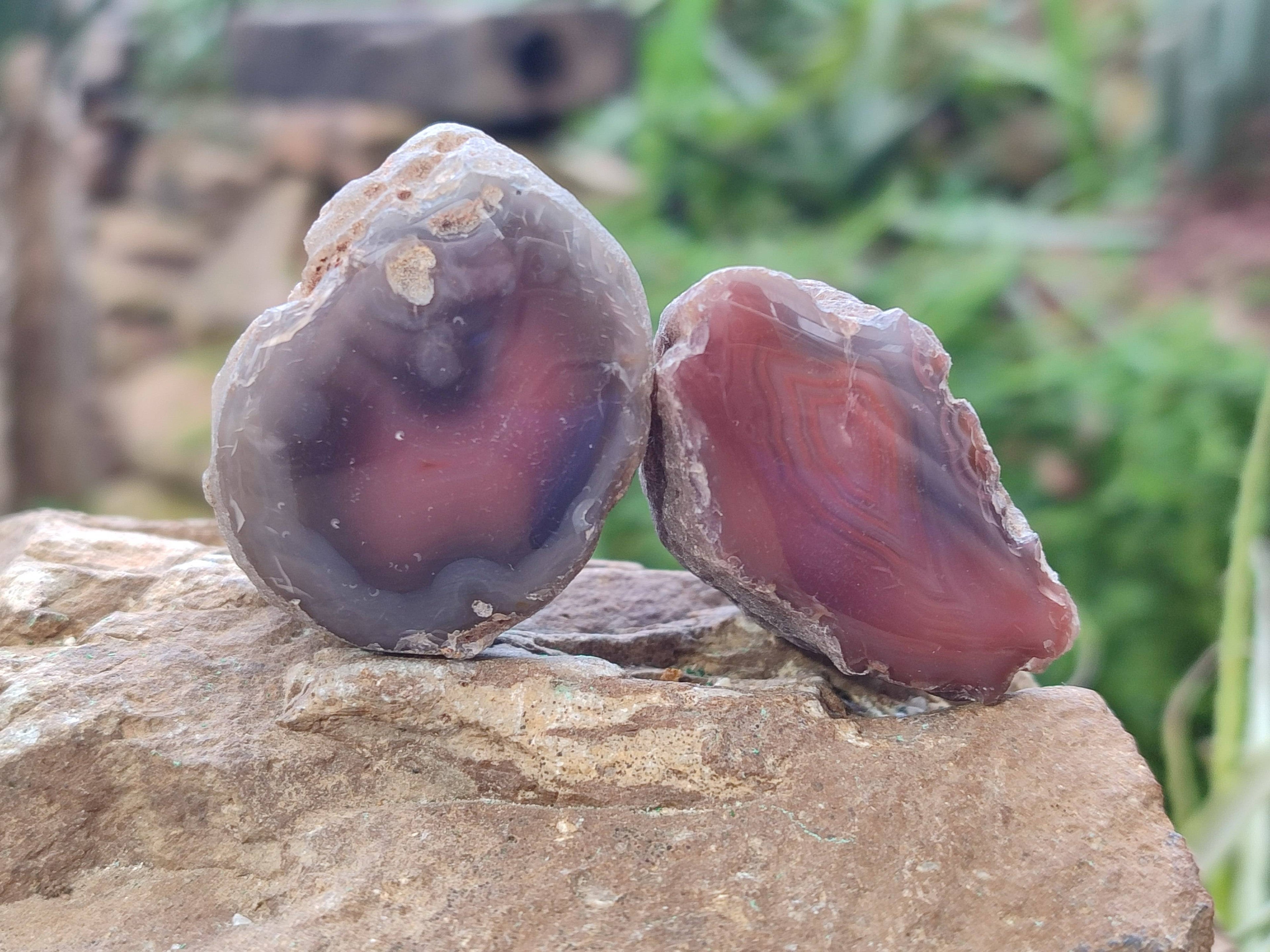 Polished On One Side Red Sashe River Agate Nodules x 24 From Zimbabwe - Toprock Gemstones and Minerals 