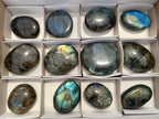 Polished Labradorite Palm Stones x 12 From Tulear, Madagascar - Toprock Gemstones and Minerals 