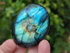 Polished Labradorite Palm Stones x 12 From Tulear, Madagascar - Toprock Gemstones and Minerals 