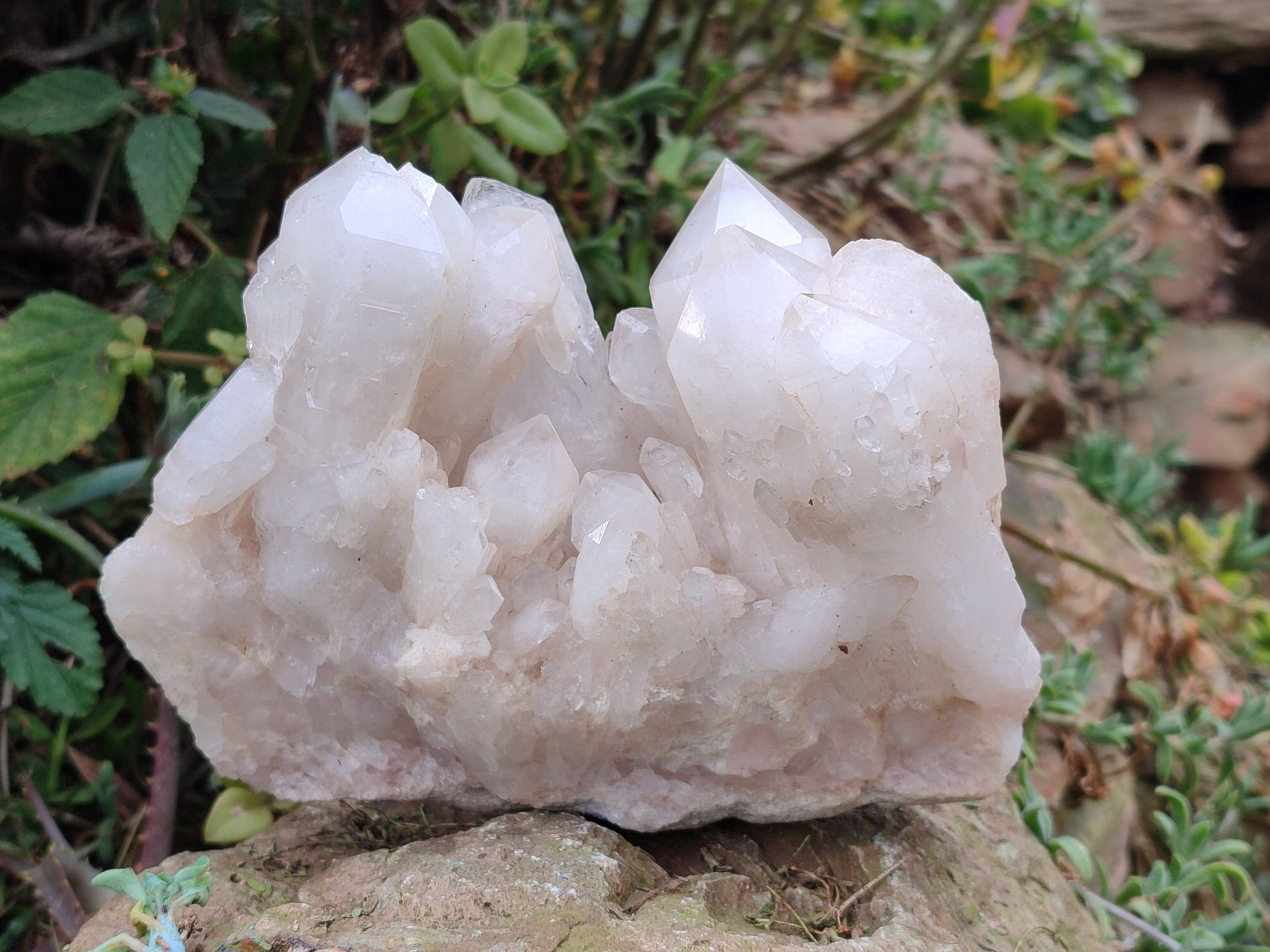 Natural Cascading Candle Quartz Clusters x 2 From Antsirabe, Madagascar - Toprock Gemstones and Minerals 