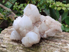 Natural Cascading Candle Quartz Clusters x 2 From Antsirabe, Madagascar - Toprock Gemstones and Minerals 